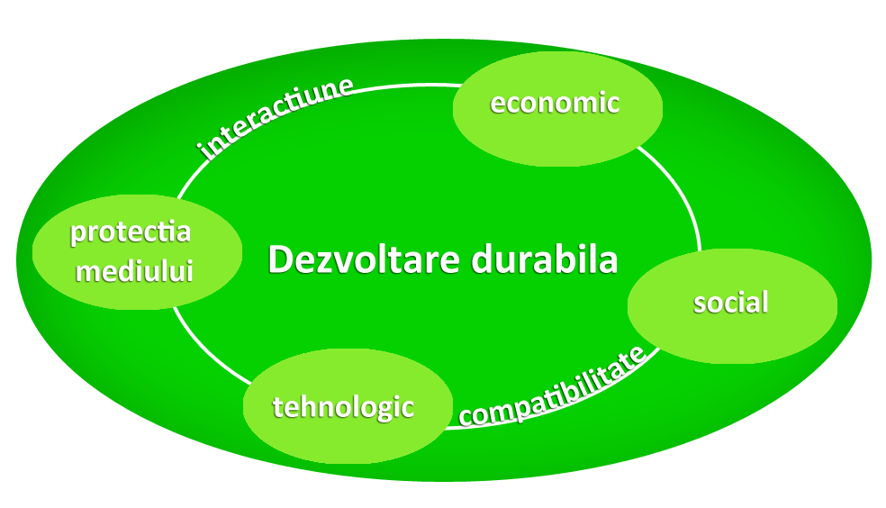 Dezvoltare durabilă a resurselor companiei Dezvoltare durabilă a resurselor companiei